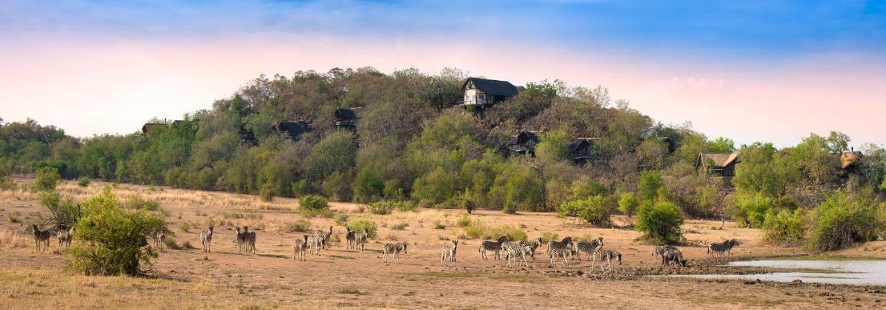 Tshukudu Bush Lodge Ledig Exterior photo