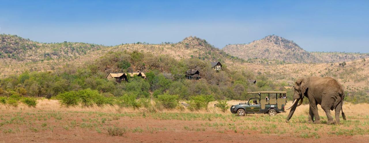 Tshukudu Bush Lodge Ledig Exterior photo