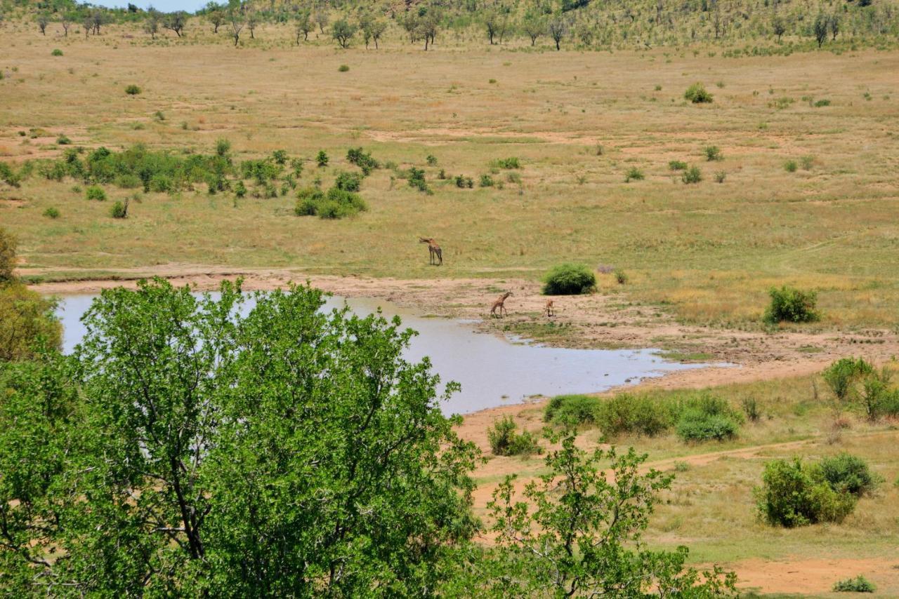 Tshukudu Bush Lodge Ledig Exterior photo